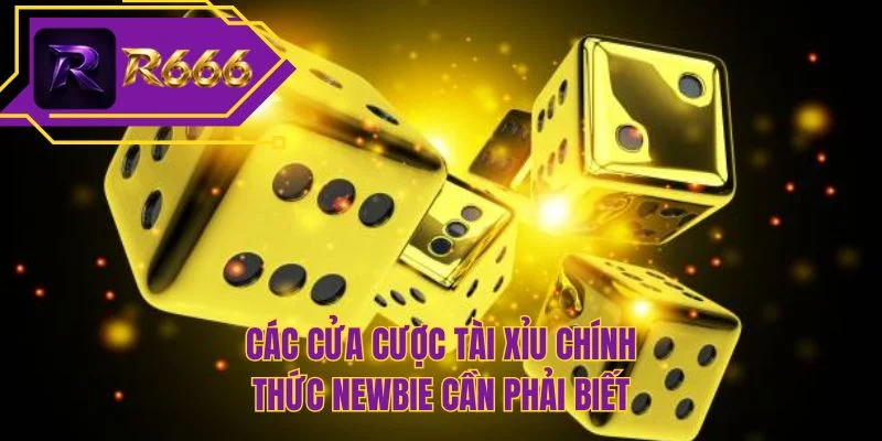 Các cửa cược tài xỉu chính thức newbie cần phải biết